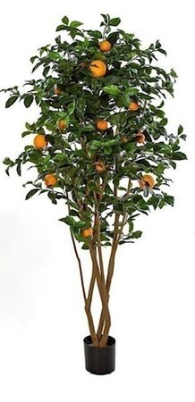 DECORATIVE ORANGE TREES | 3 FT. TALL OR 6 FT. TALL