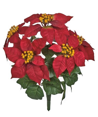 13 INCH POINSETTIA BUSH X 5 FLOWERS | VELVET RED OR WHITE/GREEN
