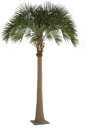 17 Foot Outdoor Royal Palm Tree with Fiberglass Trunk
