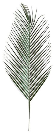 31 inches Areca Palm Branch - Green Polyblend (Plastic) UV Rated Outdoor Foliage