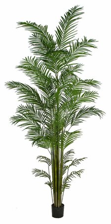 12 Foot Tall LARGE POTTED ARECA PALM TREE