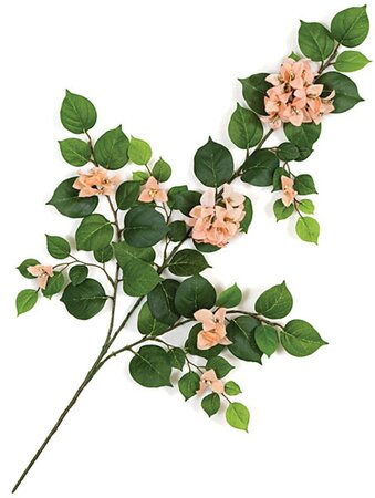 6 feet Artificial Bougainvillea - Natural Trunks - 1,812 Leaves - 811 Flowers - PEACH flower - Weighted Base