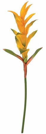 28 inches Guzmania Spray - Soft Touch - 13 inches Stem