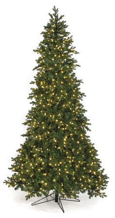 12 feet St. Lucia Fir Slim LED Christmas Tree