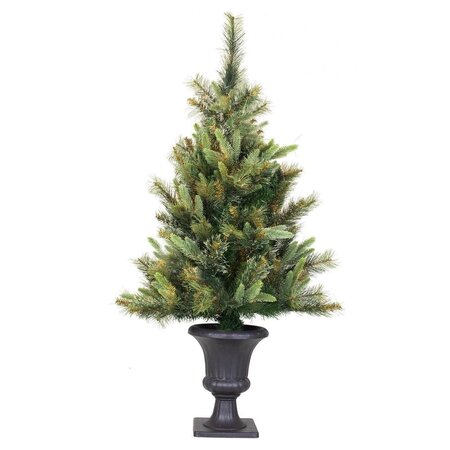 3.5 feet x 28 inches Potted Cashmere Pine 218 Tips
