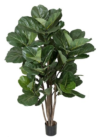 68 Inch Fiddle Leaf Tree - Regular Or Fire Retardant