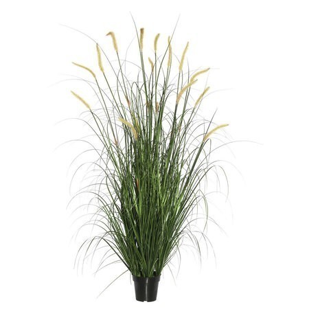 36 inches Green Foxtail Grass in Pot