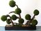 Preserved Moss balls and Natural grape wood  35" Long, 28 to 30" high by 9" wide.  (container is 28" long, 5" wide by 3.5" tall. 35" x 9" x 30"