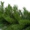 25 Foot x 18 Inch Mixed Pine Garland with or without lights