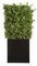 66"Hx14"Wx31"L Outdoor UV Protected Ming Hedge in Black Planter with Gloss Finish Green