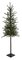 Pvc Butte Pine Trees | 3 Ft., 5 Ft., Or 7 Feet Tall