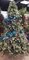 12 Foot  Frosted Mixed Needle Christmas Tree with Laser Glitter -LED Lights- Full Size