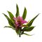 10" Bromeliad Artificial Flower (Set of 6)