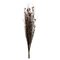 36-40" Bell Grass Red Pod 8oz Bundle