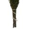 22-26" Basil Grabia 5-6oz Bundle