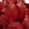 8" Red Queen Flower Stem
