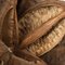 12-16" Natural Star Pod - 1Pc
