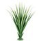 55" Outdoor Dracaena Draco Base Plant with 31 Leaves Two Tone Green