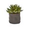 Mixed Succulent Trio Artificial Plant (Set of 3)