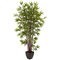 6' Bamboo Silk Tree w/Planter