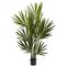 4' Kentia Palm Silk Tree