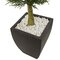 4.5 Foot Cypress Topiary with Black Planter UV Resistant (Indoor/Outdoor)