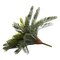 13" Cycas Artificial Plant