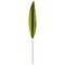 29" Yucca Artificial Leaf (Real Touch) (Set of 36)