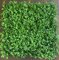 20 inchesx20 inches Outdoor Boxwood mat Tutone Green