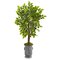 55" River Birch Artificial Tree in Decorative Planter