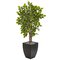 57" River Birch Artificial Tree in Black Planter