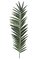 88 inches Giant Palm Branch -  22 inches Width - Green