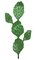 38 inches Plastic Prickly Pear Cactus with Brown Needles - Green - Bare Stem - 3.25 inches Stem