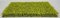 20 INCH X 20 INCH X 1 INCH POLYBLEND OUTDOOR BOXWOOD MAT | LIME GREEN OR BURGUNDY