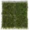 20 X 2.5 Inch Hanging Polyblend Outdoor Boxwood Mat
