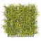 11.5 Inch X 11.5 Inch Podocarpus Leaf Mat