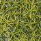 11.5 Inch X 11.5 Inch Podocarpus Leaf Mat