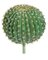 BARREL HEAD CACTUS WITH STEM | 12.5 inches OR 15.5 inches