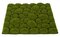 20 Inch X 20 Inch Green Moss Mat