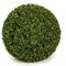 POLYBLEND OUTDOOR LARGE ENGLISH BOXWOOD BALL | 20 INCH, 24 INCH, 30 INCH, 42 INCH DIAMETERS