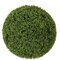 POLYBLEND OUTDOOR LARGE ENGLISH BOXWOOD BALL | 20 INCH, 24 INCH, 30 INCH, 42 INCH DIAMETERS