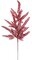 26 Inch Burgundy Maidenhair Fern Branch