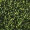 20 Inch X 20 Inch Polyblend Outdoor Wintergreen  Mountain Boxwood Mat