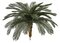 4.5 Feet, 5.5 Feet, 7.5 Feet, 8.5 Feet Tall X 68 Inch Width - Polyblend Outdoor Cycas Palm Trees