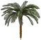 4.5 Feet, 5.5 Feet, 7.5 Feet, 8.5 Feet Tall X 68 Inch Width - Polyblend Outdoor Cycas Palm Trees