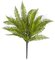 18 Inch L X 12 Inch W Outdoor Boston Fern Bush