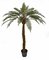 68 Inch Potted Fern Tree With Synthetic Trunk