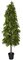 6 FOOT Outdoor NATURAL TOUCH POTTED HINOKI CYPRESS TREE SHRUB