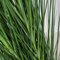 57 Inch Pvc Green/Grey Onion Grass Bush