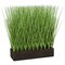 Planted Rectangle Pvc Onion Grass - 3 Sizes - 11 Inches, 16 Inches, And 19 Inches